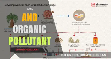 Oil: An Organic Pollutant?