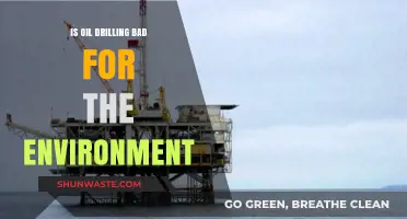 Oil Drilling's Environmental Impact: Harmful Consequences and Sustainable Alternatives