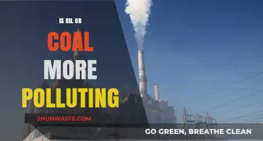 Oil vs. Coal: Which Fossil Fuel is More Polluting?