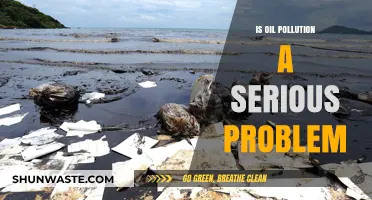 The Dark Side of Oil: Pollution's Impact