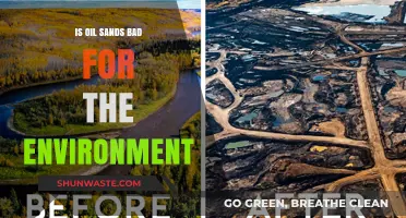 Oil Sands Environmental Impact: Uncovering the Ecological Consequences and Concerns