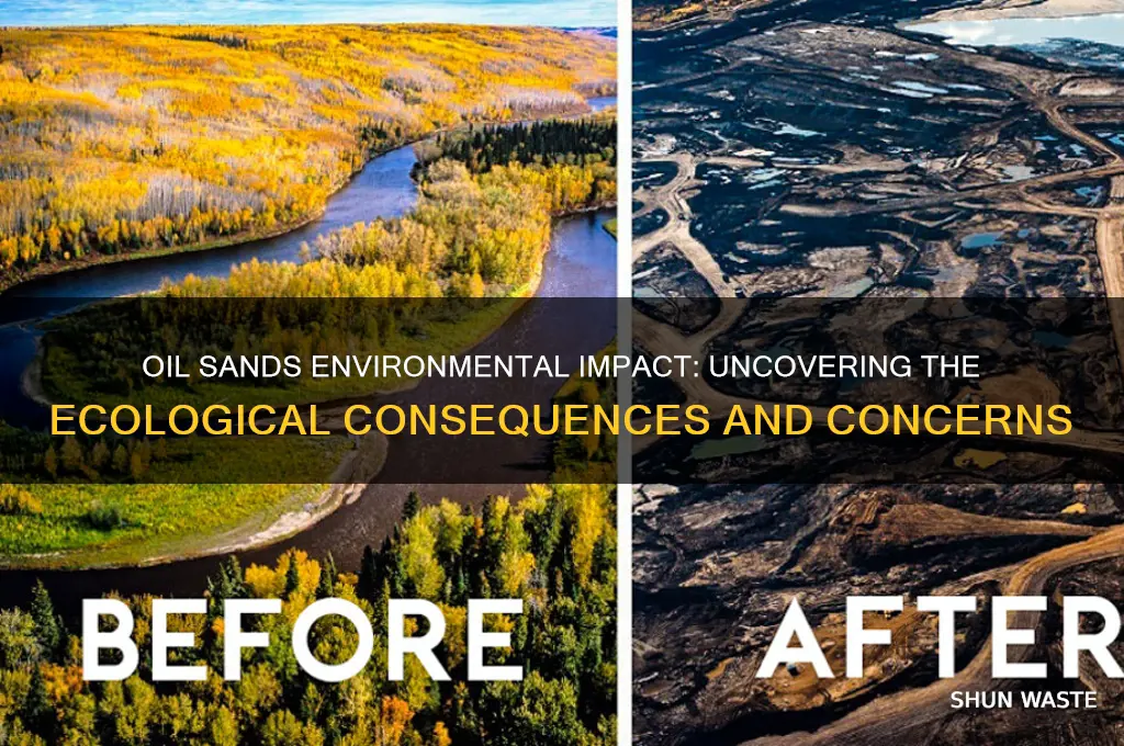 is oil sands bad for the environment