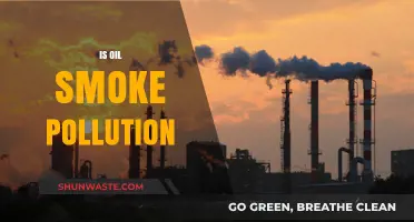 Oil Smoke: A Lethal Pollution Problem