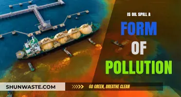 Oil Spills: A Form of Environmental Pollution?