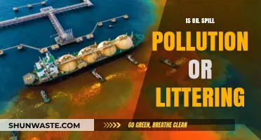 The Impact of Oil Spills: Pollution or Littering?