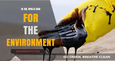 Oil Spills: Devastating Environmental Impacts and Long-Term Consequences Explained