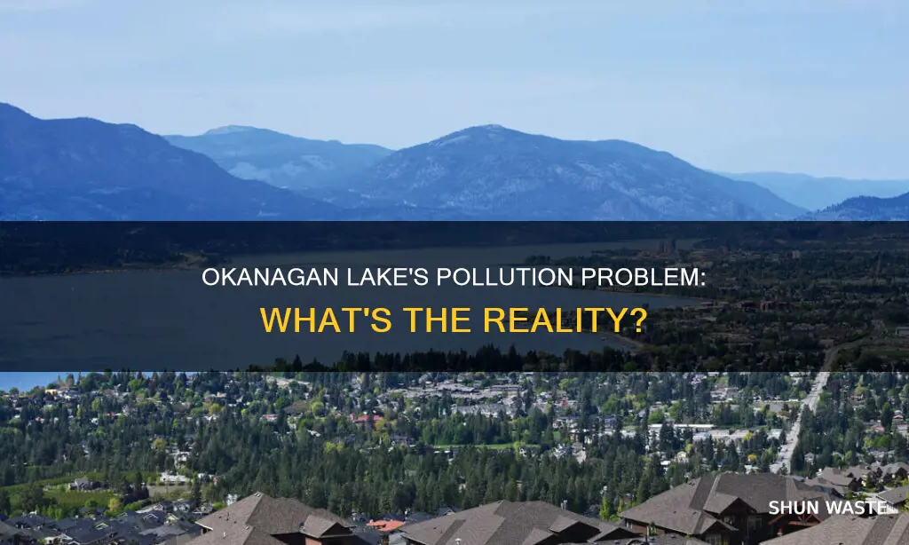 is okanagan lake polluted
