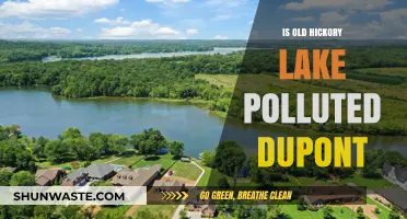 Old Hickory Lake: Pollution and Dupont's Impact