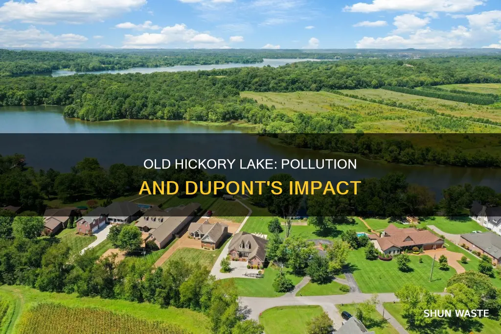 is old hickory lake polluted dupont