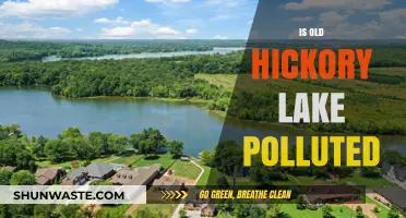 Old Hickory Lake: Polluted Paradise?