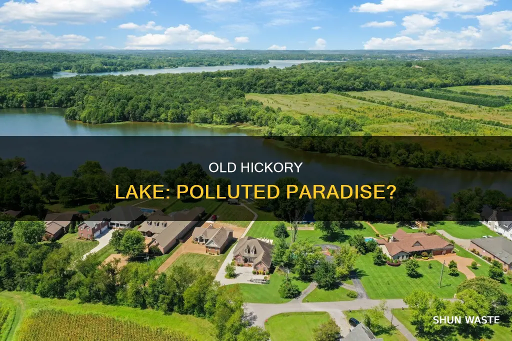 is old hickory lake polluted