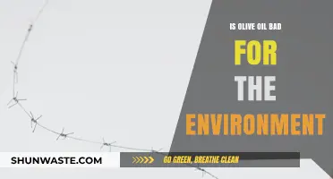 Olive Oil's Environmental Impact: Sustainable Choice or Ecological Concern?