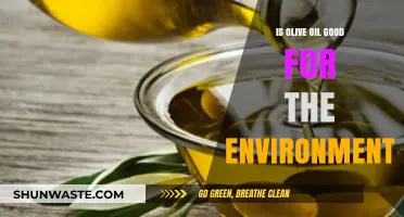 Olive Oil's Environmental Impact: Sustainable Choice or Hidden Harm?