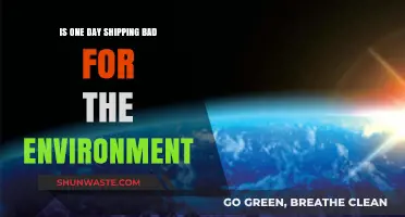 Is One-Day Shipping Harming Our Planet? Environmental Impact Explored