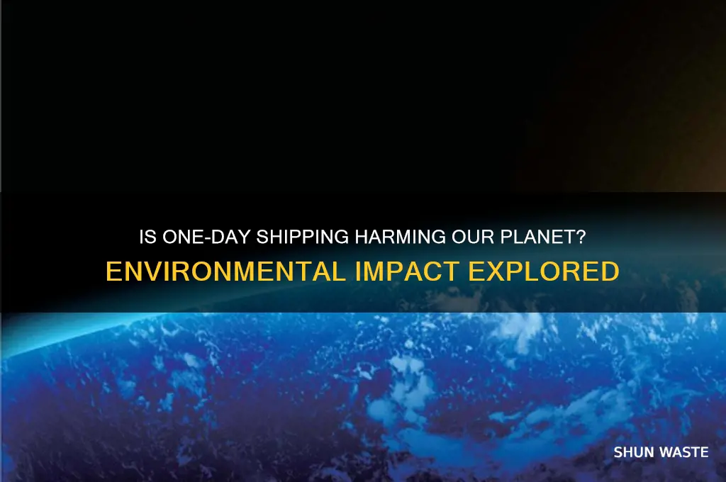 is one day shipping bad for the environment