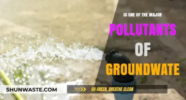 Groundwater Pollution: A Major Concern for Nitrates