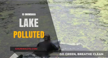 Onondaga Lake's Pollution Problem: What's Being Done?