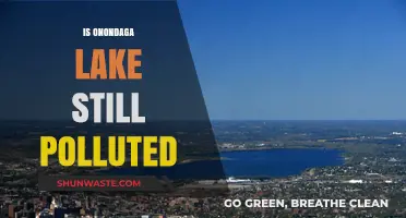Onondaga Lake: Pollution's Lingering Legacy?