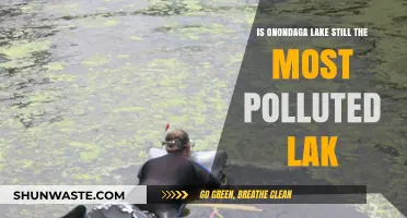 Onondaga Lake: Still America's Most Polluted?