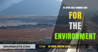 Open Cast Mining's Environmental Impact: Harmful or Sustainable Practice?