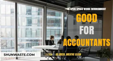 Open Space Work Environments: A Productive Choice for Accountants?