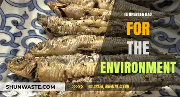 OpenSea's Environmental Impact: Sustainable or Harmful for Our Planet?
