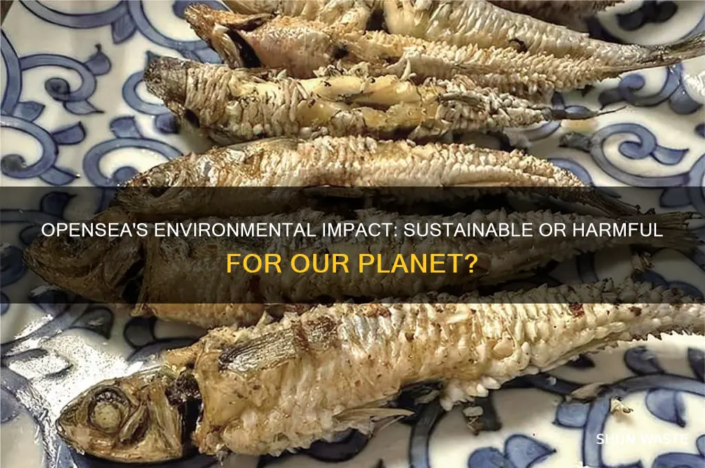 is opensea bad for the environment