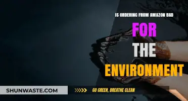 Amazon's Environmental Impact: Unpacking the Eco-Cost of Online Shopping