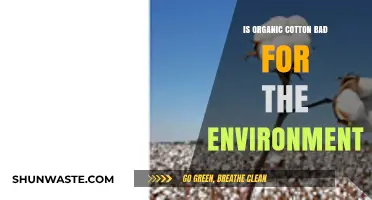 Is Organic Cotton Eco-Friendly? Uncovering Its Environmental Impact
