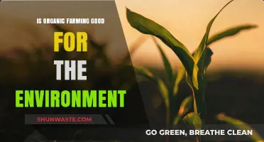Organic Farming: A Sustainable Solution for Environmental Preservation?
