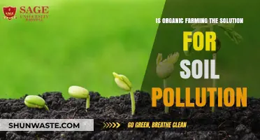 Organic Farming: Solution for Soil Pollution?