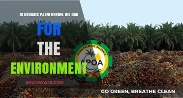 Is Organic Palm Kernel Oil Harming Our Environment? A Critical Look