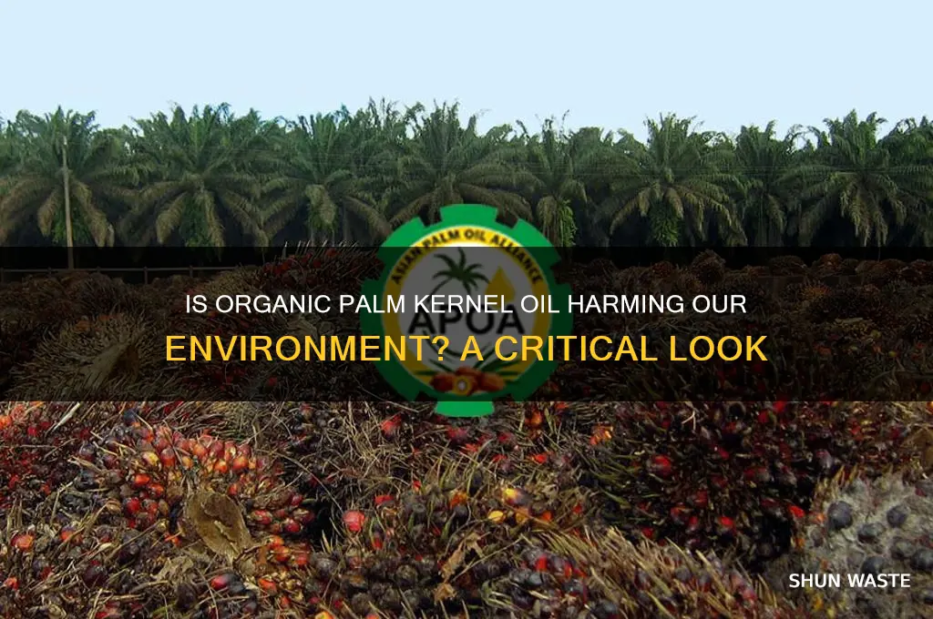 is organic palm kernel oil bad for the environment