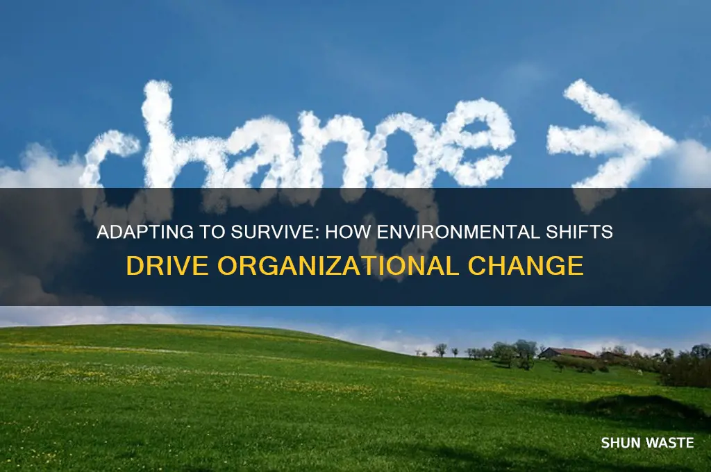 is organizational change a response to changes in the environment
