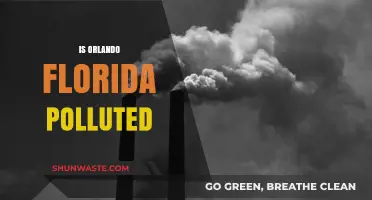Orlando's Pollution Problem: Is the City Too Dirty?