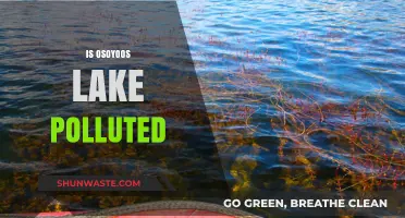 Osoyoos Lake: Is It Polluted or Pristine?