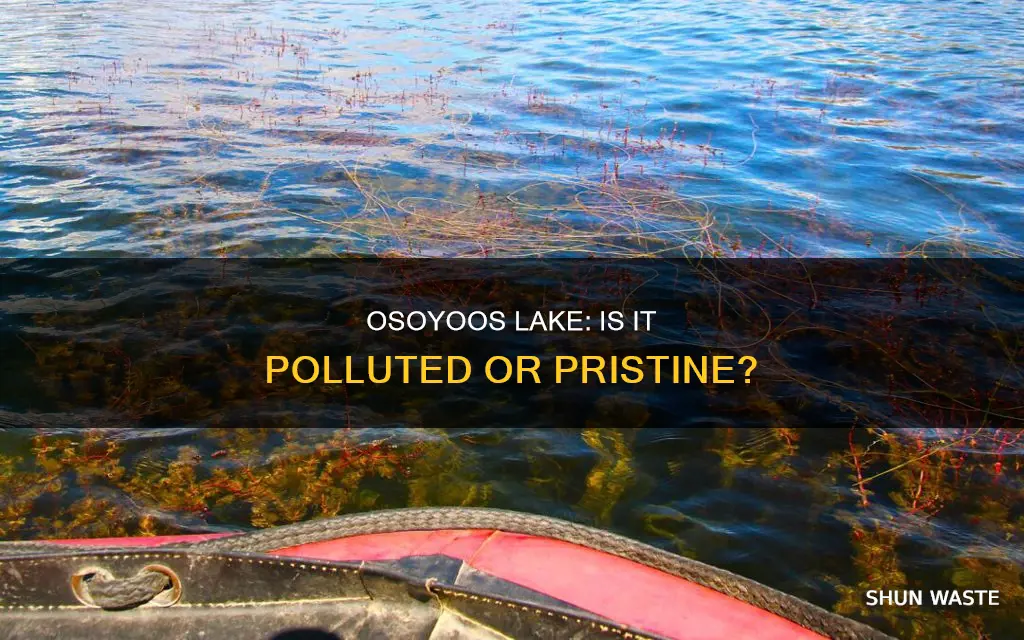 is osoyoos lake polluted