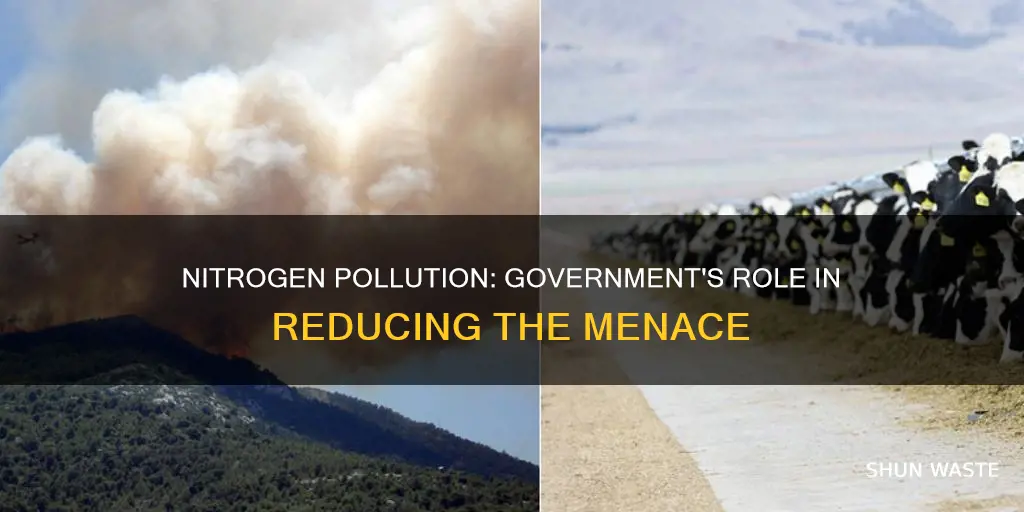 is our government doing anything to reduce nitrogen pollution