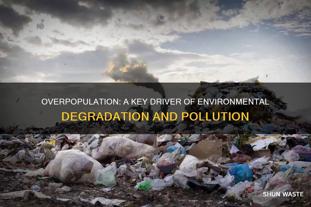 is overpopulation the greatest cause of pollution