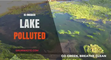 Owasco Lake: Is It Polluted or Pristine?