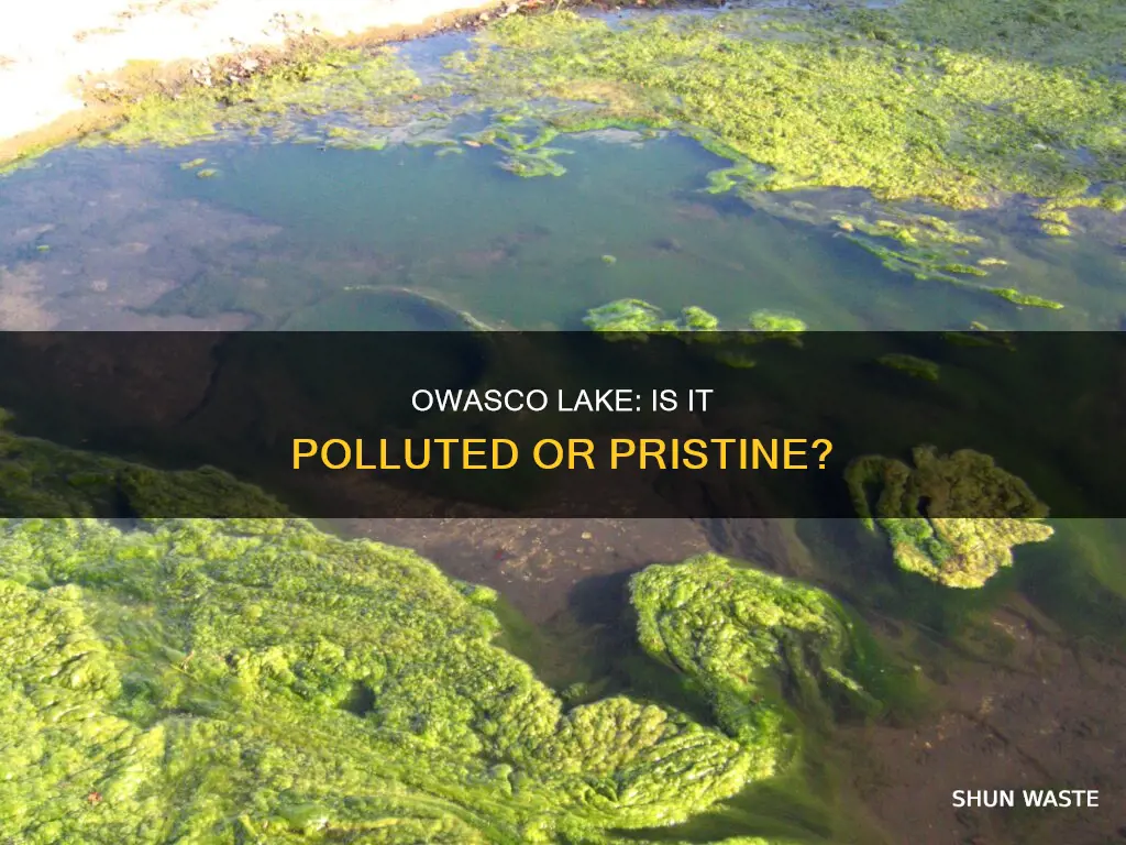 is owasco lake polluted