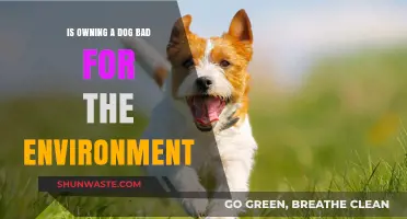 Paws for Thought: The Environmental Impact of Dog Ownership