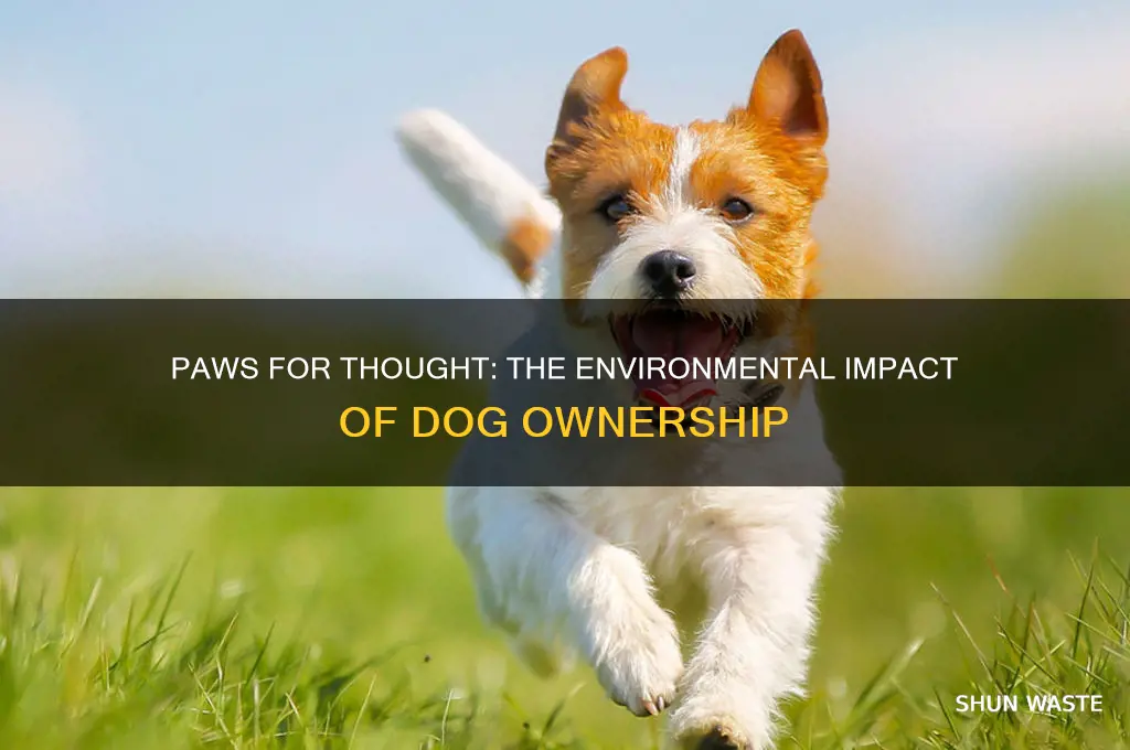 is owning a dog bad for the environment
