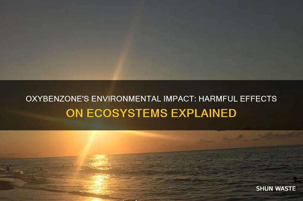 is oxybenzone bad for the environment
