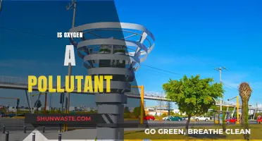 Oxygen: Pollutant or Life-Giver?