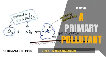 Oxygen's Role in Pollution: A Primary Pollutant?
