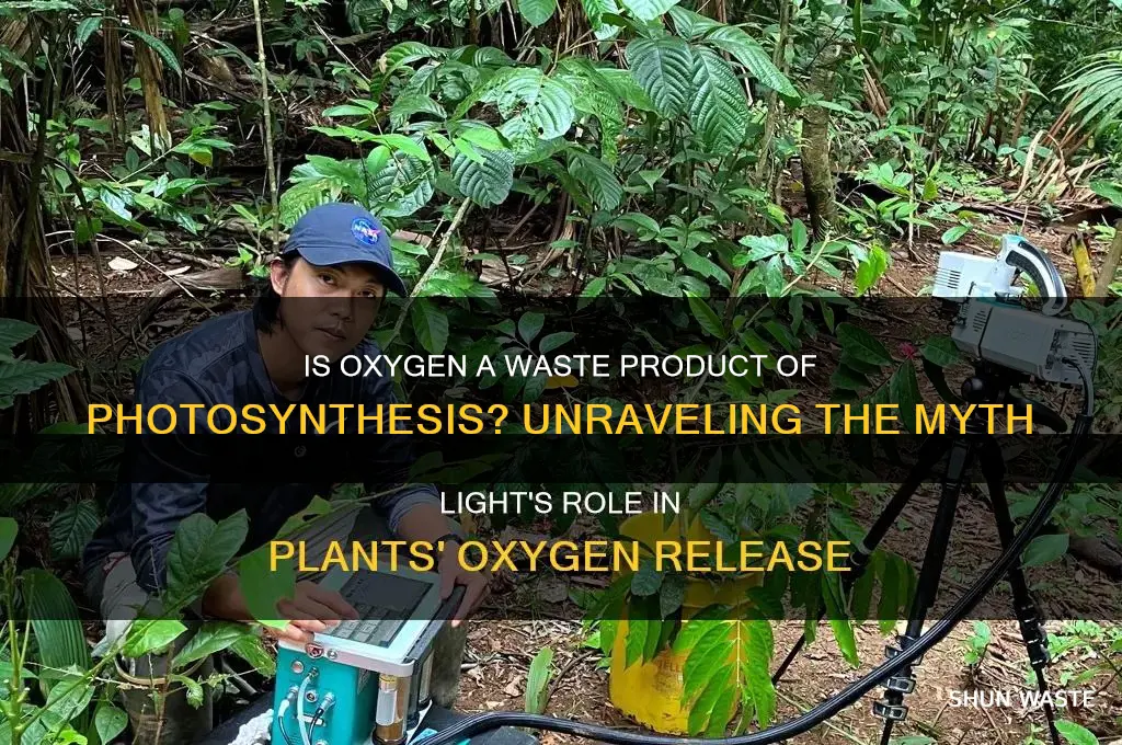 is oxygen a waste product of photosynthesis
