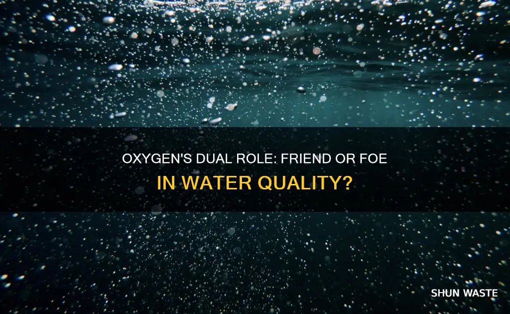 is oxygen a water pollutant