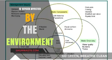 How Environmental Factors Impact Oxygen Levels and Quality