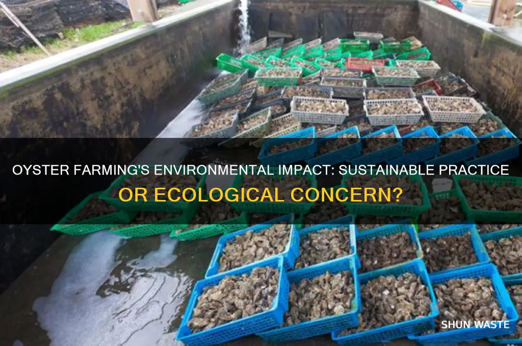 is oyster farming bad for the environment